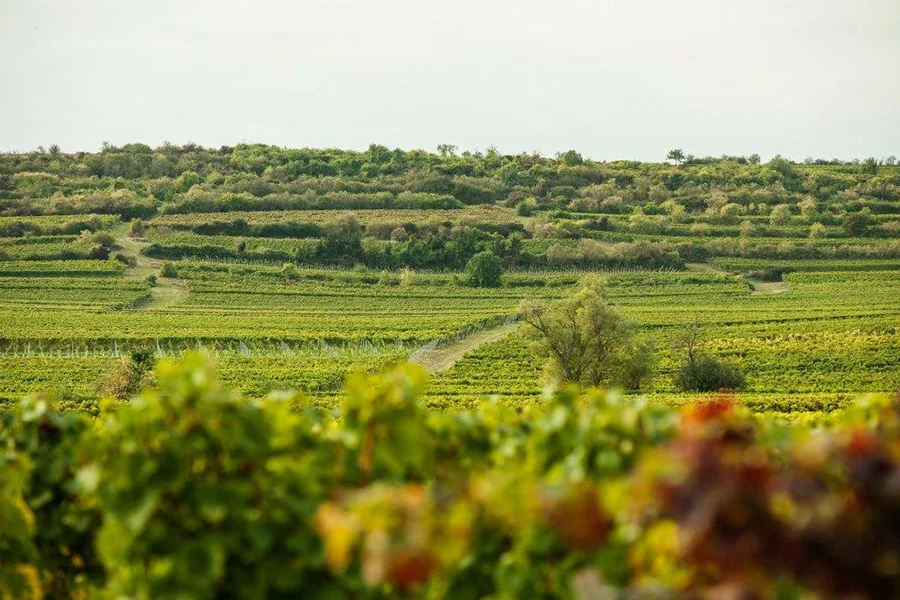Landschaft Horizont