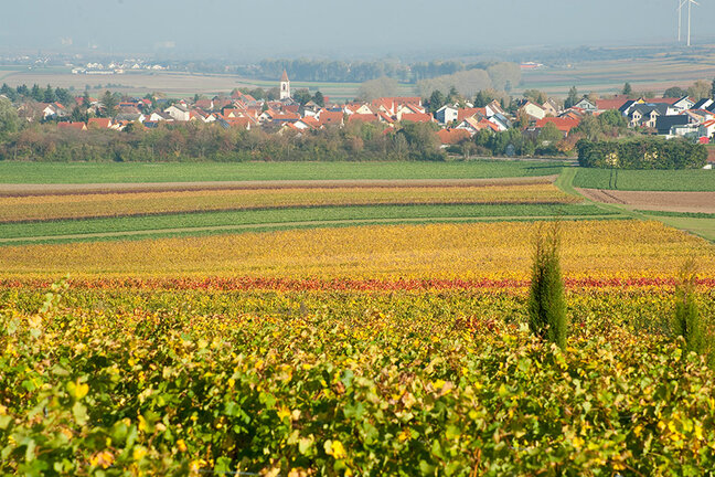 IMG1__0001_peth-flo___e__rsheim-20131