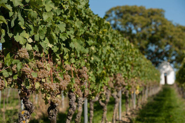 IMG1__0005_Flo__rsheim_Dalsheim-19