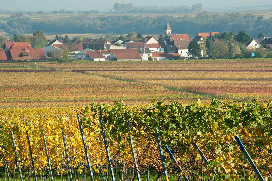 idyllische Weinberge