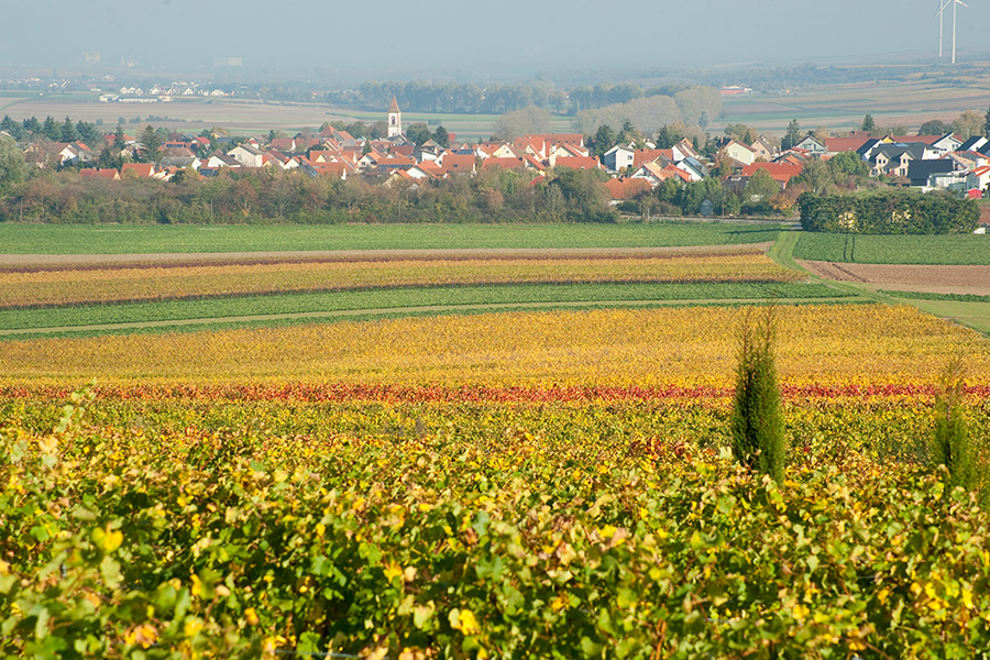idyllische Weinberge